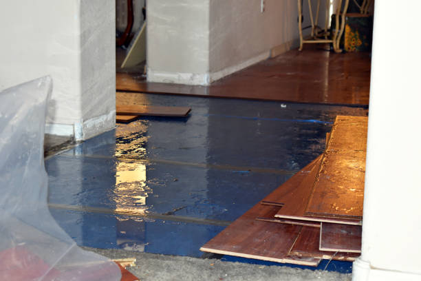 Professional Burst Pipe Cleanup technician working in Edgewood, WA
